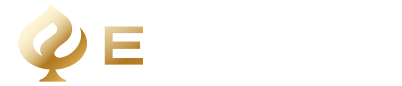 Partner 4